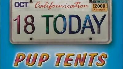 Pup Tents: A Blissful Gay Porn Adventure!