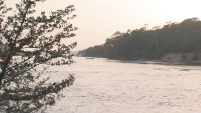 Unleashed Desires: Repressed Emotions Uncovered