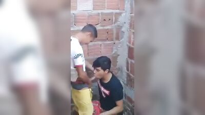 Gay Porn Oral Delight: 001 - An Erotic Adventure