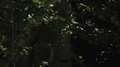 Electric Heat: Short Gay Porn Film by AA Vid S