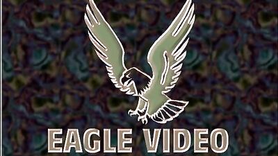 Bareback Action: Big Cocks Beginners 17