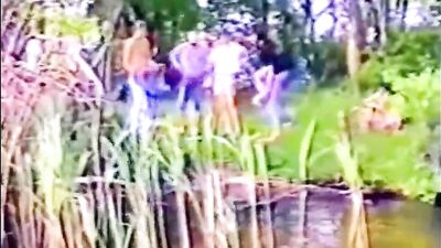 Algae in the ass (German): Action Bareback Blond Boys