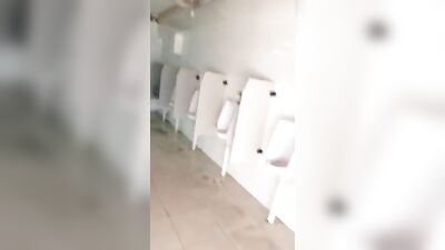 Risky Wank in Public Toilets: Gay Porn Adventures!