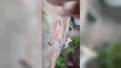 Tyheuetu: The Ultimate Gay Porn Experience - Tagged as Male Nudism, Muscular Men and Gay Orgy