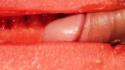 Gay Melon Exploration - An Amateur Fun Mix!