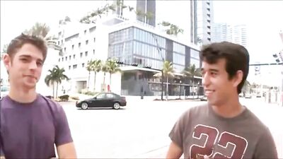 Beautiful Tropical Horses: The Ultimate Gay Porn Experience!