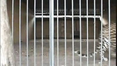 Gay Day - Action Public Outside: Explore Your Wild Side!