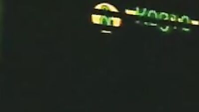 Spring Fling - A Vintage Public Outdoor Adventure!