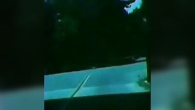 Young and Hung: A Vintage Bliss - The Ultimate Gay Porn Experience