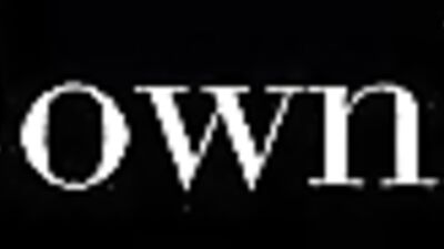 Lovely Bears - A Gay Porn Video Full of Fun!