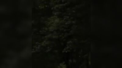 Juniors Unleashed: Raw Bareback Action!