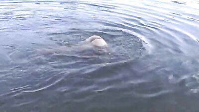 Swim naked by the lake - Gay Outdoor Sex Escapade