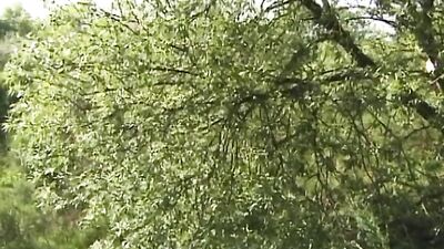 Absolute Lust: Amateur Blond Boys in Action!