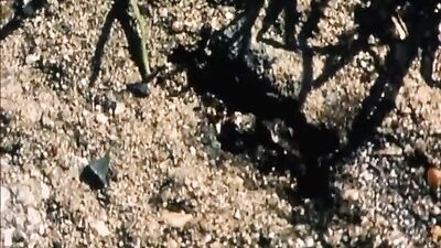 Freunde: A Gay Porn Short Film Exposing True Friendship