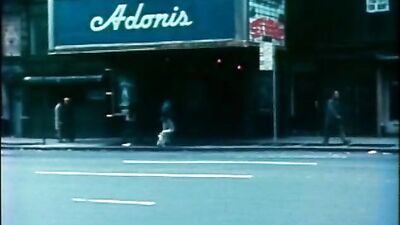 Adonis Nights: The Ultimate Vintage Gay Porn Experience