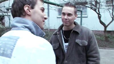 Bareback Ride with Big Cocks: Unleashed Passion