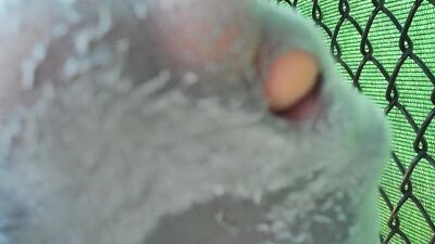 Brendans Feet Frenzy: Unleashing Puma Passion!