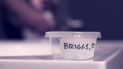 Gay Porn Barebackers - Sexy Cum Shots and Oral Delights!