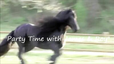 Party Time with James & Roy.