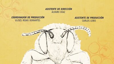 Sabor on Fire: Amature Fetish Movies Unleashed!