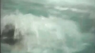 Vintage Pool Pleasures: Pavel and Friends Passionate Encounters