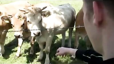 Landing Hard: Big Cocks & Handjob Action!