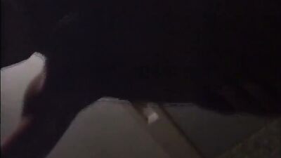 Asian Bondage Frenzy: HTR22 Japanese Tied Up Fuck!