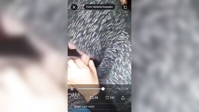 Gay Porn Oral Web-Cam Funny Friends - He jokes while his friend sucks him