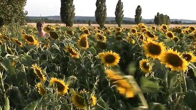 Sunflowers in the Field: Gay Porns Sexy Adventure!