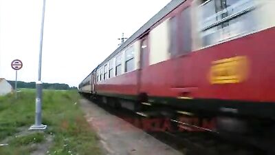 Bareback Backpackers: Action-Packed Adventure!