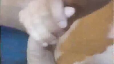 Big Cock Amateur Action Play