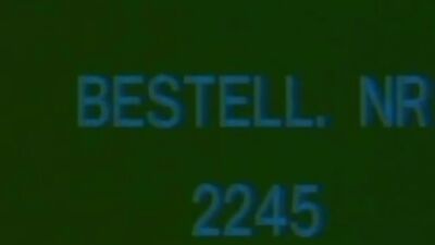 Wasser Flöhe - A Vintage Gay Porn Experience