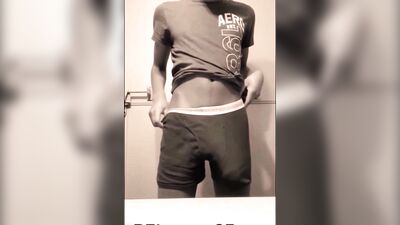 Beauty Horses Unleashed: Massive Cocks Galore!