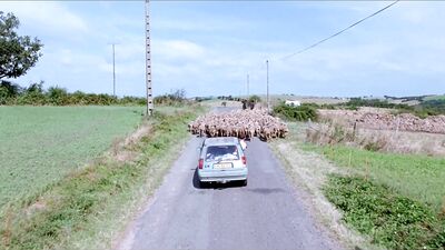 Crying Cowboys: A Short Gay Themed Film