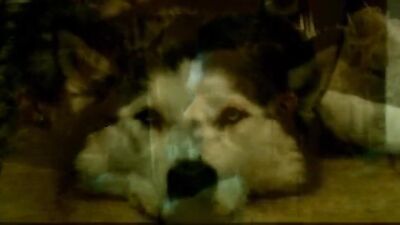 Johans Muscle Men Adventure: The Ultimate Gay Porn Action!