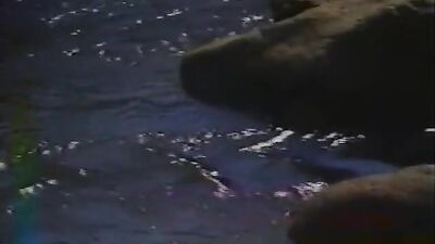 Campus Crush - Gay Porn Video