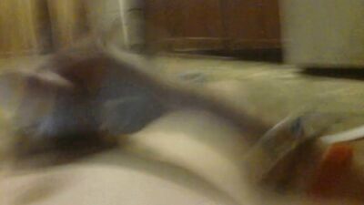 Dancing Boy Porn Jakes Off! - Explosive Gay Thrills