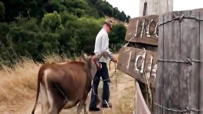 Brookton Hollows Son: A Short Gay Film About Loneliness and Discovery