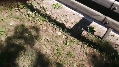 Wild Gay Sex by the Busy Motorway!