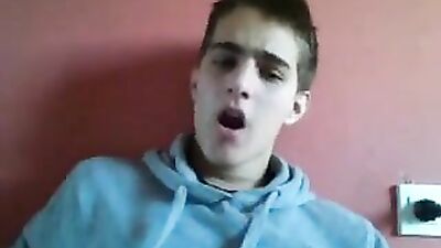 Look at the Little Birdies Web-Cam Adventure