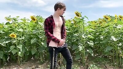 Sunflower Lust: The Summer of Seduction - A Gay Porn Video
