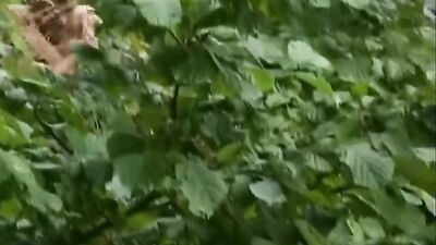 Blonde and his boyfriend in garden house