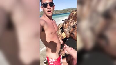 Hot beach blowjob