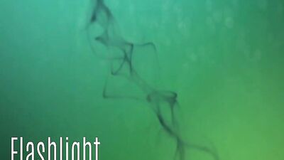 Made to Swallow three