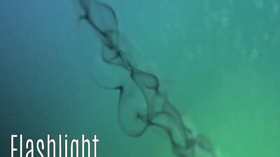 Made To Swallow Five - Cum Shots Fun Oral