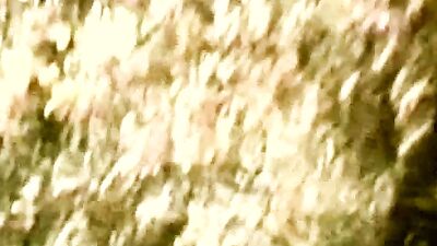 Goldenboys 24: Action Ass Play Bareback - The Ultimate Gay Porn Video Adventure!