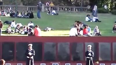 Fucked hard by big cocks - Cum Shots and Handjobs galore!