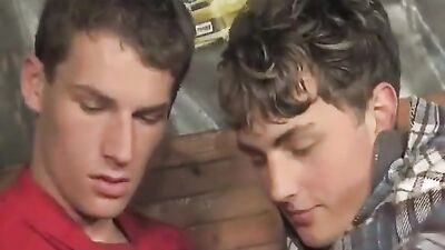 Gay Porn: Bareback Cum Shots Oral - Great Barebackers 222