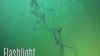 Gay Oral Swallowing Cumshot Explosion - Made to Swallow Nine