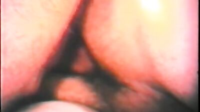 Vintage Vixens: A Gay Porn Revival!